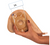 Stoma Bescherm Cap SET (Cap + Achterpad) CE